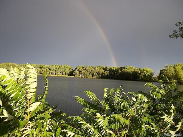 water view