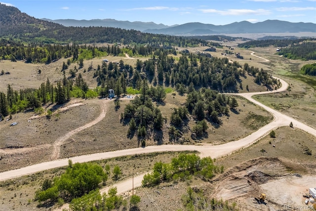 4588 Remington Rd, Jefferson, CO 80456