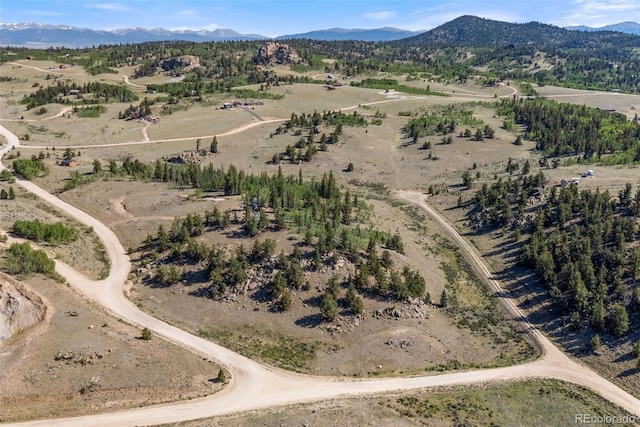 4588 Remington Rd, Jefferson, CO 80456