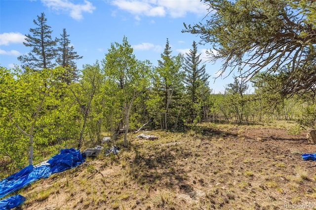 4588 Remington Rd, Jefferson, CO 80456