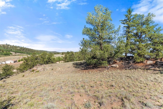 4588 Remington Rd, Jefferson, CO 80456