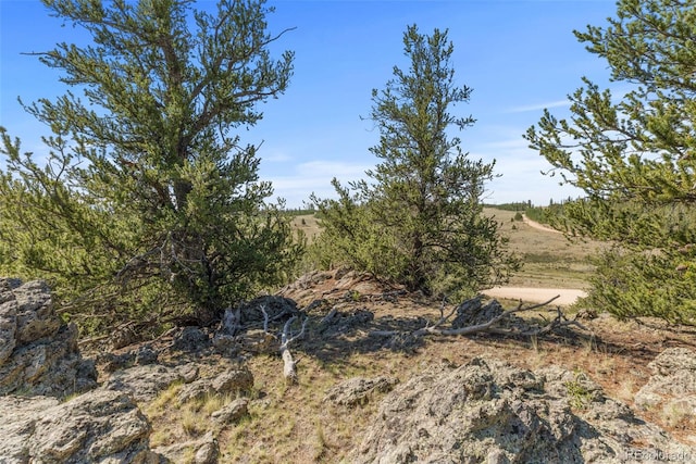 4588 Remington Rd, Jefferson, CO 80456