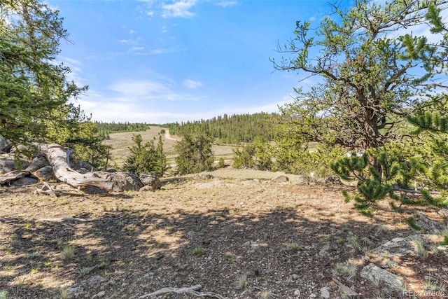 4588 Remington Rd, Jefferson, CO 80456