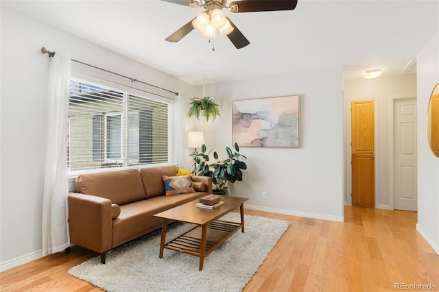 living room featuring ceiling fan and light hardwood / wood-style flooring