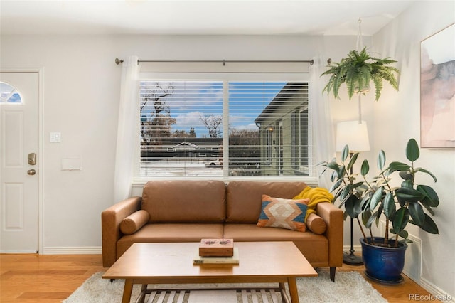 living room featuring plenty of natural light and hardwood / wood-style floors