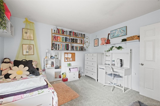 bedroom with carpet