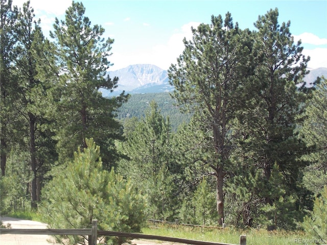 171 Broken Wagon Rd, Woodland Park, CO 80863 - mountain view featuring a forest