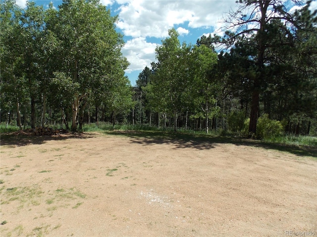 171 Broken Wagon Rd, Woodland Park, CO 80863 - view of tree filled area