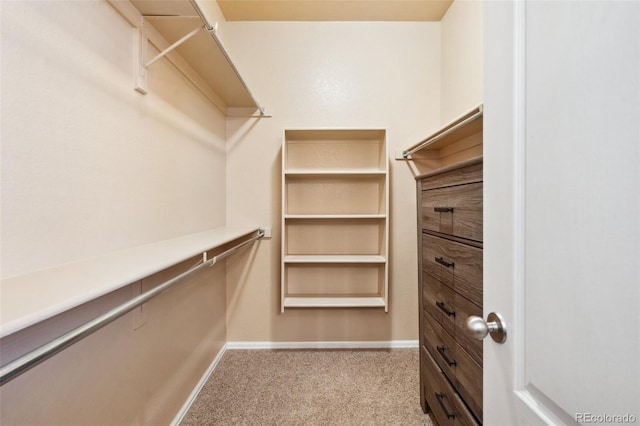 spacious closet with carpet flooring