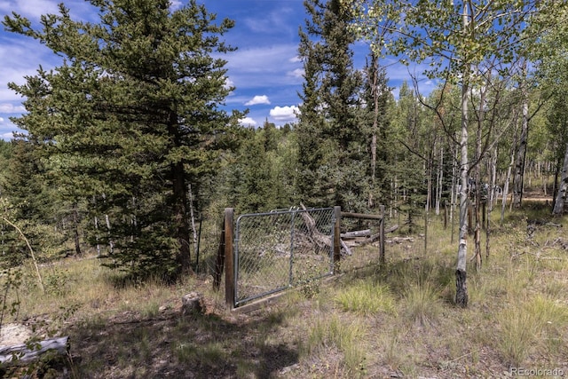 33 Sugar Loaf Ln, Jefferson, CO 80456 - photo 34