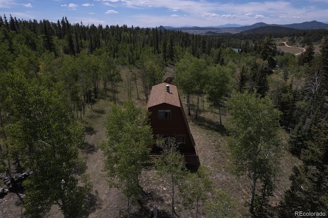 33 Sugar Loaf Ln, Jefferson, CO 80456 - photo 37