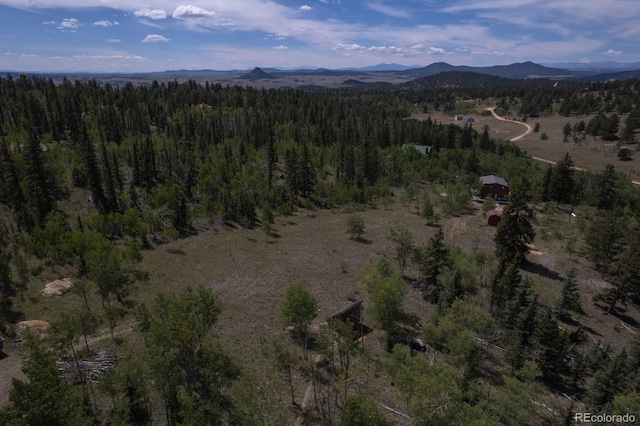 33 Sugar Loaf Ln, Jefferson, CO 80456 - photo 39