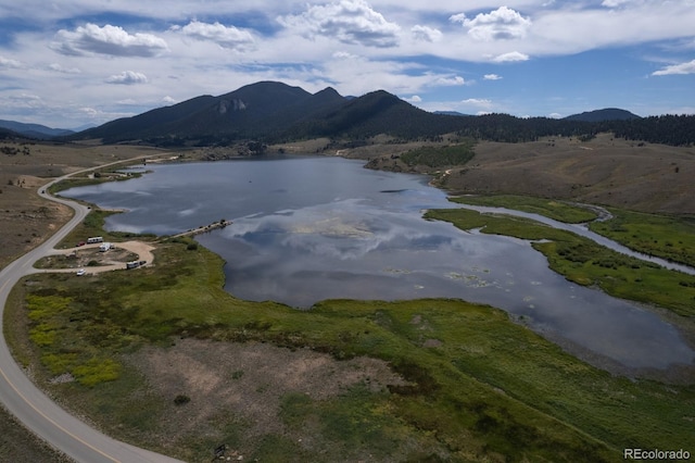 33 Sugar Loaf Ln, Jefferson, CO 80456 - photo 42