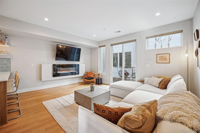 living room featuring light hardwood / wood-style floors and a healthy amount of sunlight