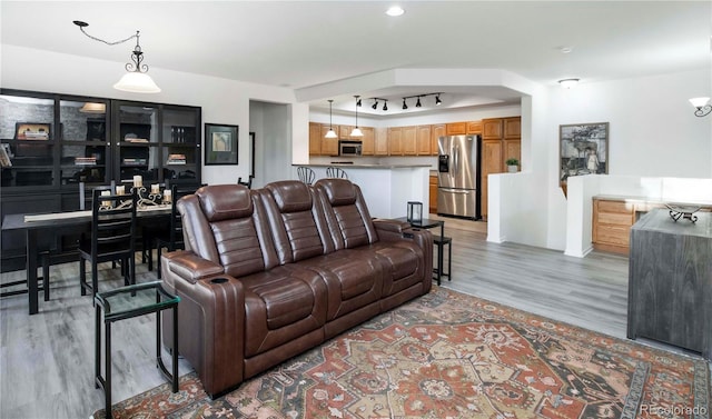 living room featuring rail lighting and light hardwood / wood-style floors