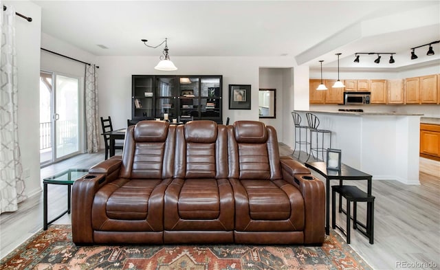 cinema room with light hardwood / wood-style floors