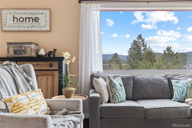 518 Pine Dr, Bailey, CO 80421 - view of living area