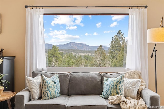 518 Pine Dr, Bailey, CO 80421 - living area with healthy amount of natural light and a mountain view