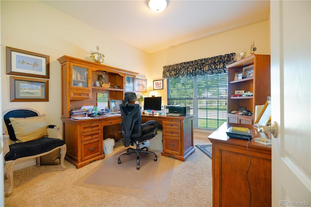 office area featuring light carpet