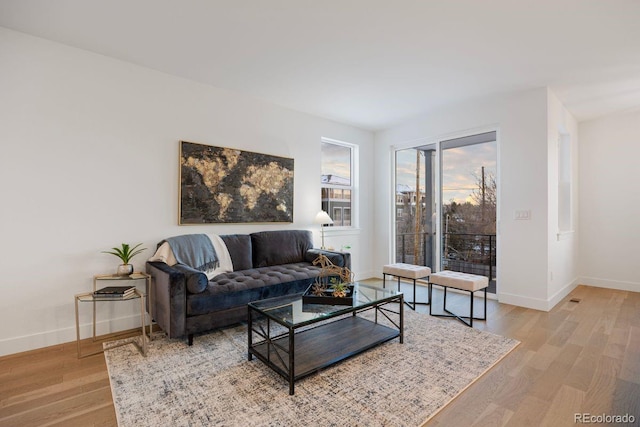 living room featuring hardwood / wood-style flooring