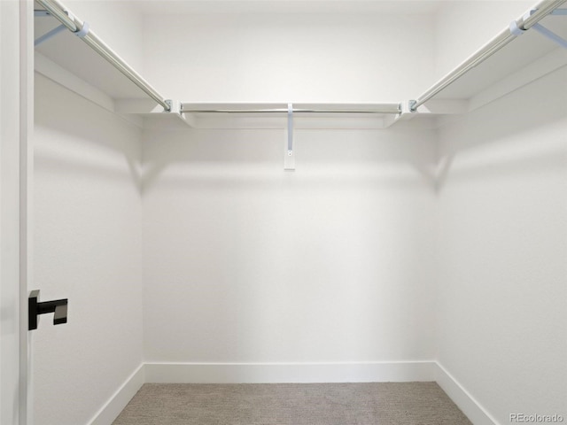 spacious closet featuring carpet