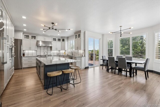 5665 Vistancia Ct, Parker, CO 80134 - kitchen featuring a chandelier, under cabinet range hood, a kitchen island with sink, light wood finished floors, and recessed lighting