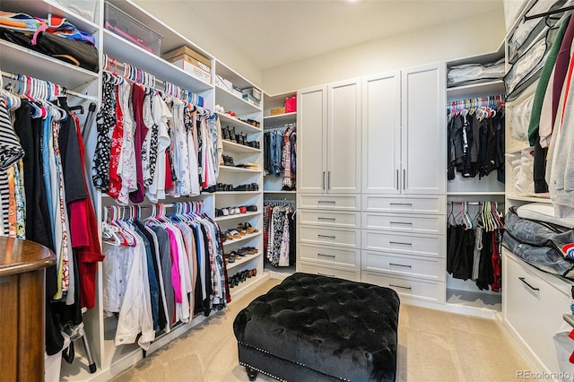 7169 Canyon Sky Trl, Castle Pines, CO 80108 - walk in closet featuring carpet