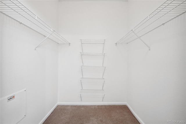 spacious closet with carpet