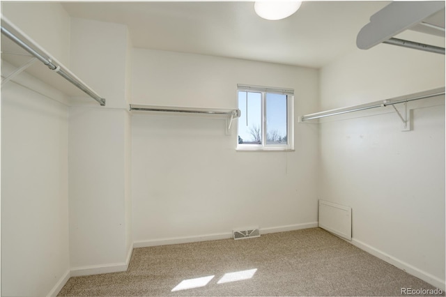walk in closet with visible vents and carpet