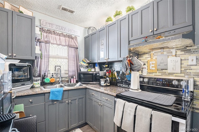 6411 E 64th Ave, Commerce City, CO 80022 - kitchen with appliances with stainless steel finishes, gray cabinets, a sink, backsplash, and under cabinet range hood