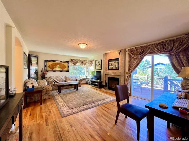 9466 Morning Glory Ln, Highlands Ranch, CO 80130 - living area with a large fireplace, light wood-style flooring, and healthy amount of natural light