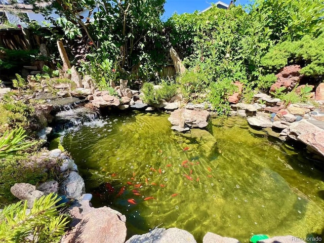 9466 Morning Glory Ln, Highlands Ranch, CO 80130 - view of yard featuring a garden pond