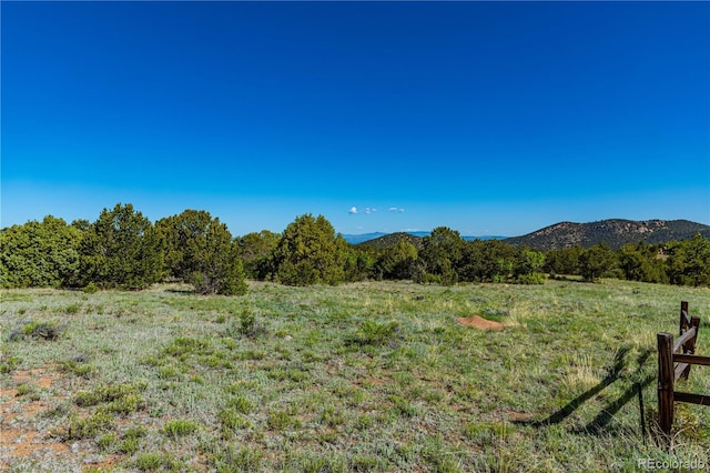 Bear Peak Rd, Westcliffe, CO 81252