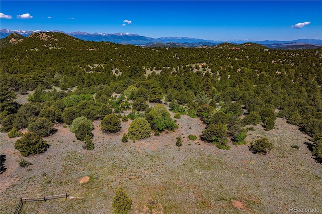 Bear Peak Rd, Westcliffe, CO 81252