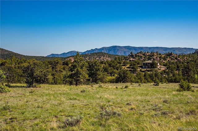 Bear Peak Rd, Westcliffe, CO 81252