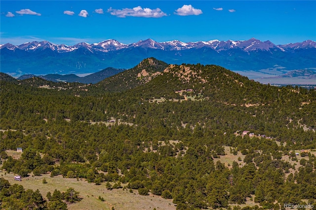 Bear Peak Rd, Westcliffe, CO 81252