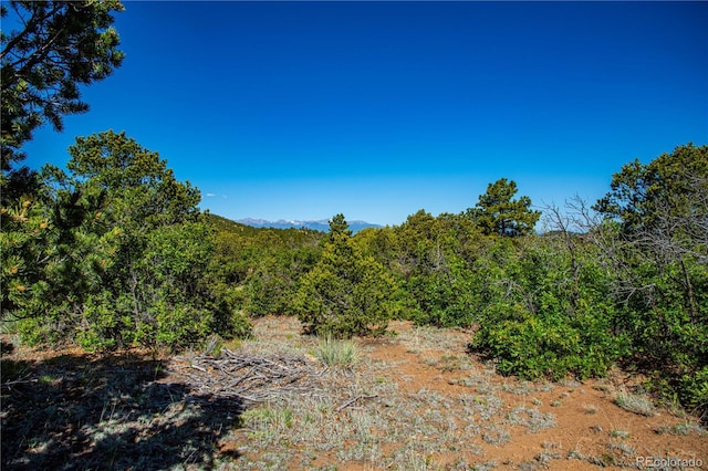 Bear Peak Rd, Westcliffe, CO 81252