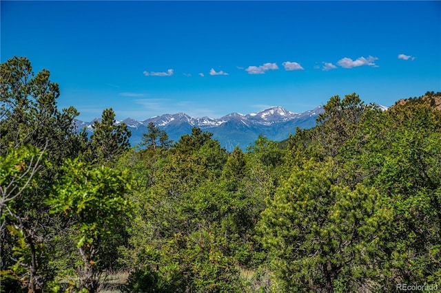 Bear Peak Rd, Westcliffe, CO 81252
