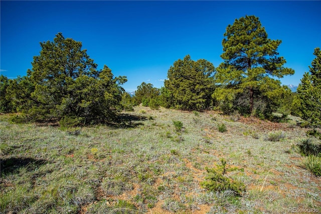 Bear Peak Rd, Westcliffe, CO 81252