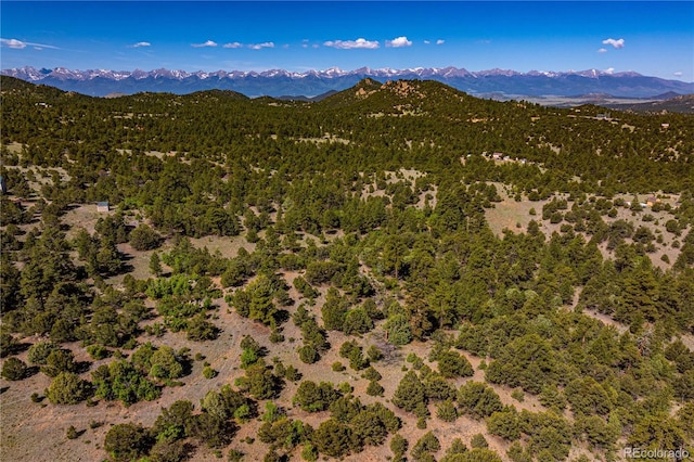 Bear Peak Rd, Westcliffe, CO 81252