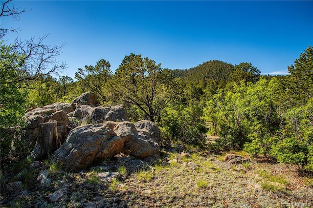 Bear Peak Rd, Westcliffe, CO 81252