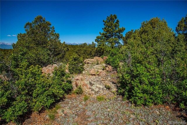 Bear Peak Rd, Westcliffe, CO 81252