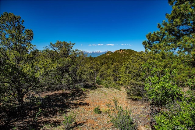 Bear Peak Rd, Westcliffe, CO 81252