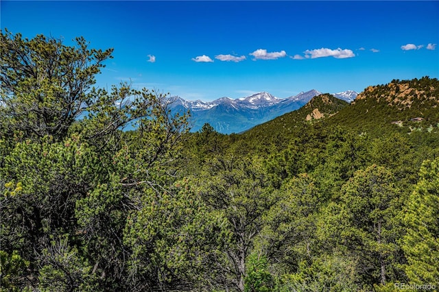 Bear Peak Rd, Westcliffe, CO 81252
