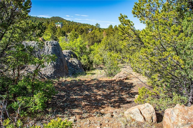Bear Peak Rd, Westcliffe, CO 81252