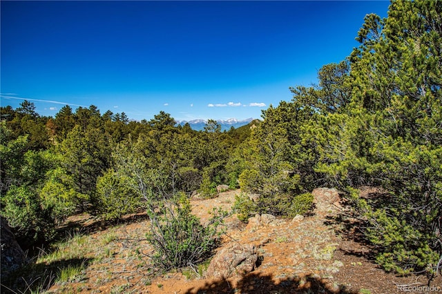 Bear Peak Rd, Westcliffe, CO 81252