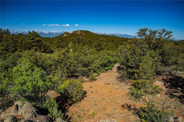 Bear Peak Rd, Westcliffe, CO 81252