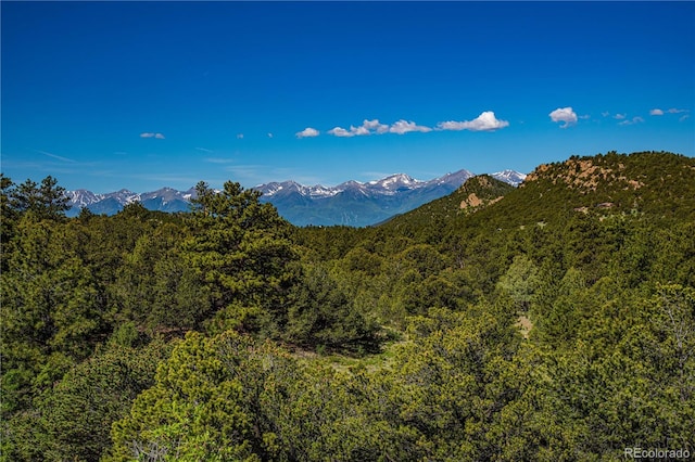 Bear Peak Rd, Westcliffe, CO 81252