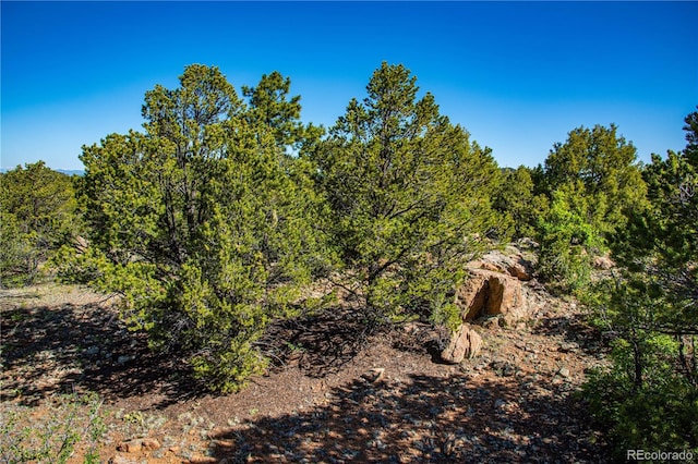 Bear Peak Rd, Westcliffe, CO 81252