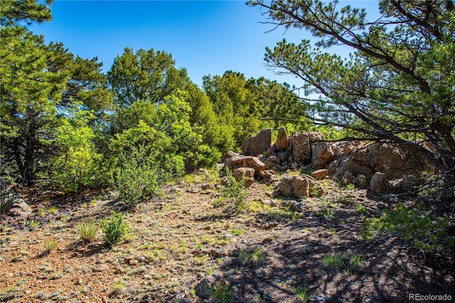 Bear Peak Rd, Westcliffe, CO 81252